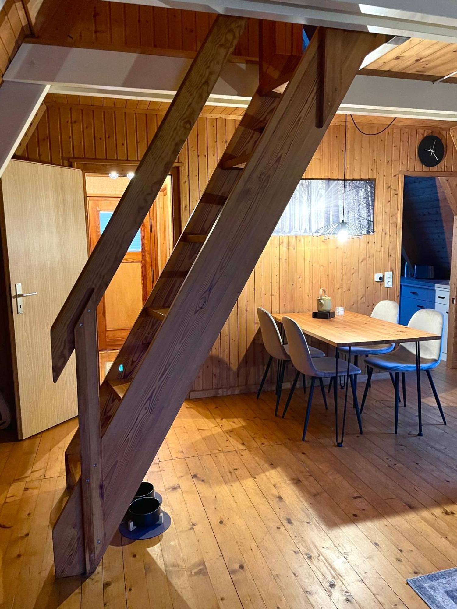 Nur-Dach-Haus Am Alfsee Rieste Εξωτερικό φωτογραφία